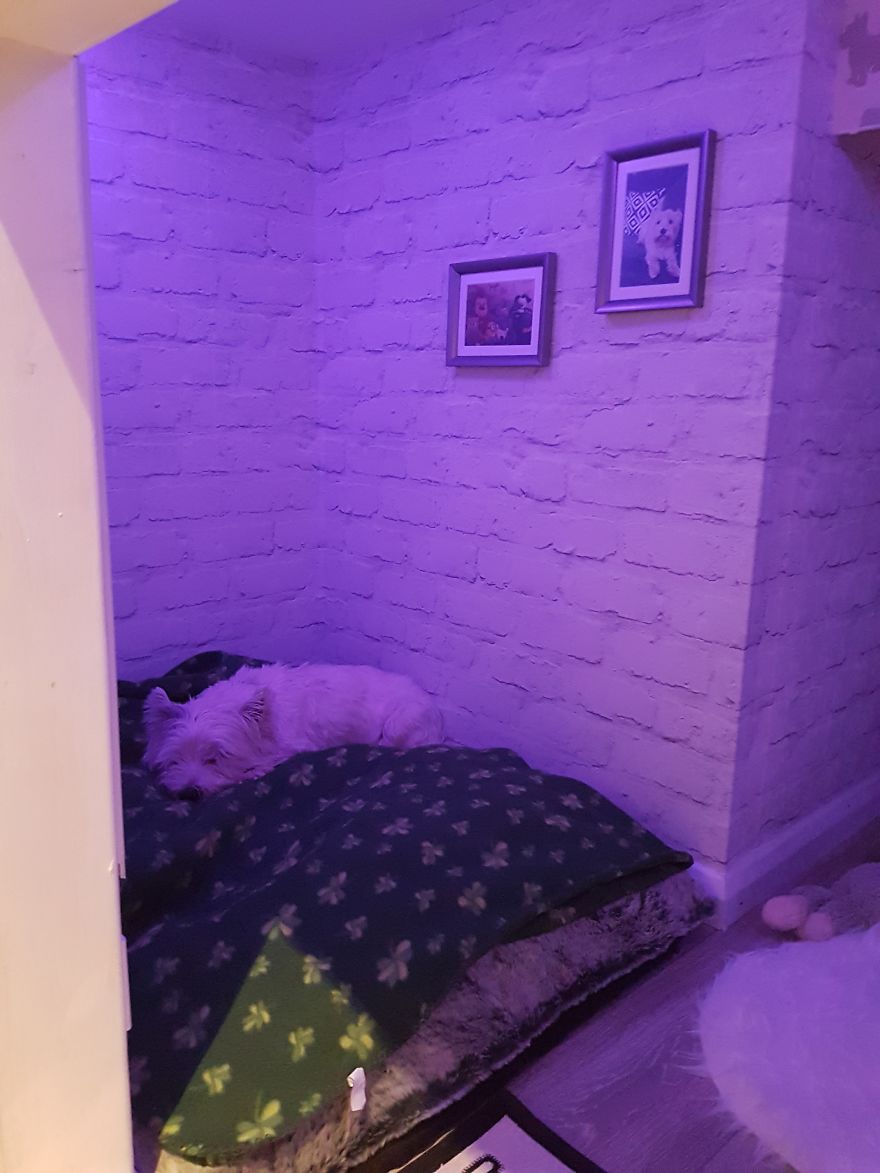 Our Dog Was Getting A Human Sister, So I Built Her A Room Under The Stairs &#8211; It Turned Out Better Than Expected