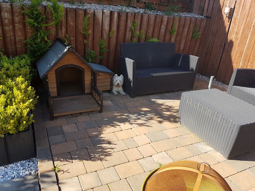 Our Dog Was Getting A Human Sister, So I Built Her A Room Under The Stairs &#8211; It Turned Out Better Than Expected