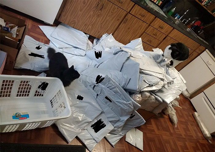 Woman Thinks She Hacked Amazon By Ordering A Ton Of Free Carpet Samples, Regrets It Immediately Woman Thinks She Hacked Amazon By Ordering A Ton Of Free Carpet Samples, Regrets It Immediately