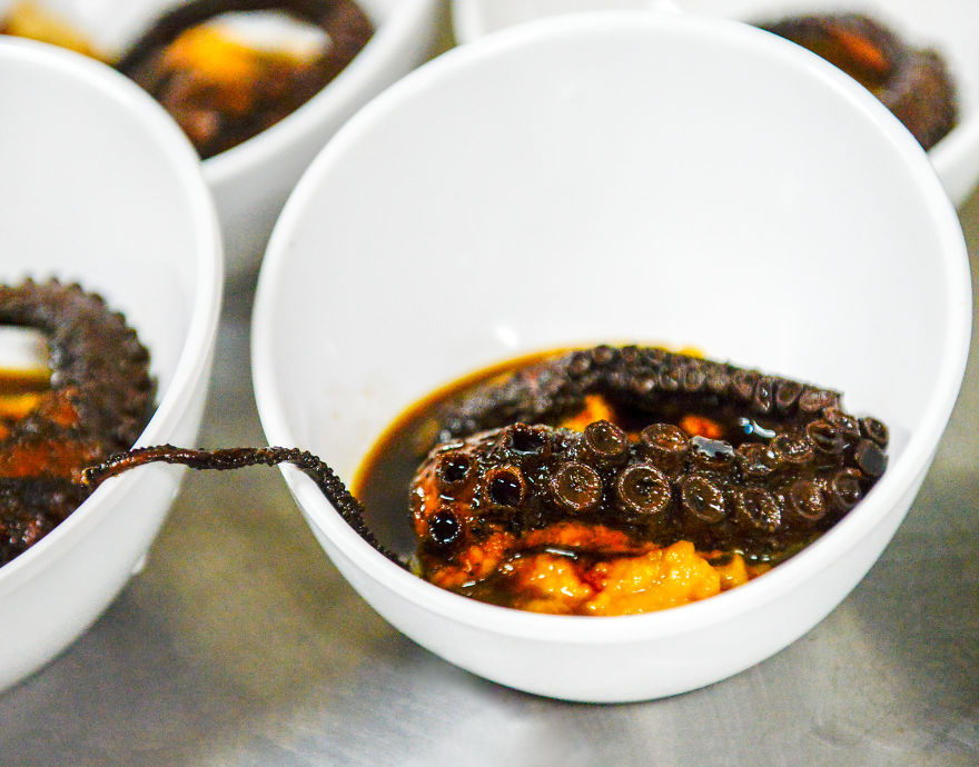 How I Went From A Dude Who Likes To Cook To A Fine Dining Chef In The Jungle Of Costa Rica How I Went From A Dude Who Likes To Cook To A Fine Dining Chef In The Jungle Of Costa Rica