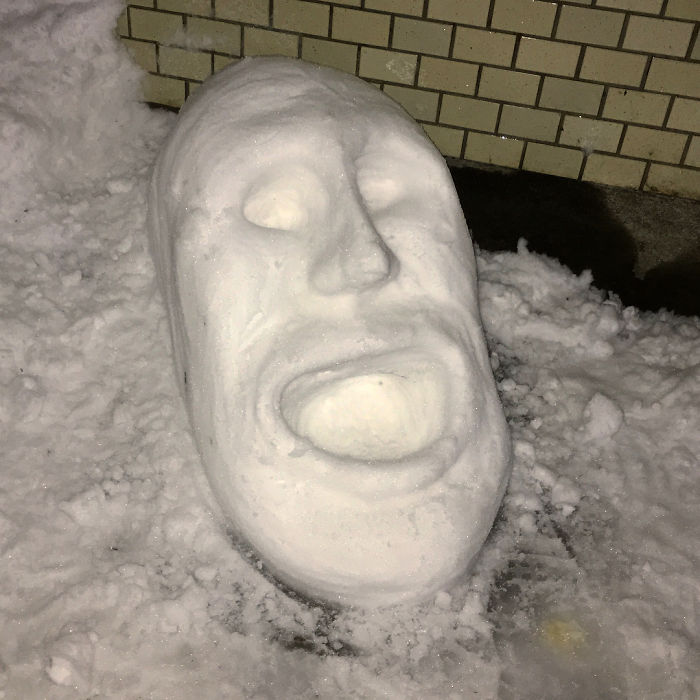 Heavy Snowfall Hits Tokyo, And The Results Are Pretty Much What You’d Expect Heavy Snowfall Hits Tokyo, And The Results Are Pretty Much What You’d Expect