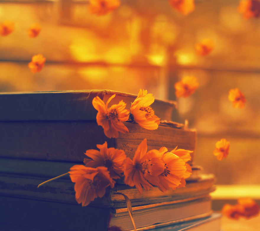 I Try To Combine The Beauty Of Flowers With Photography To Create The Perfect Composition