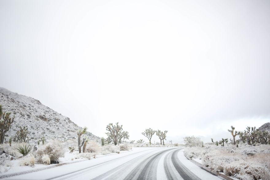 Snow In Joshua Tree National Park Snow In Joshua Tree National Park