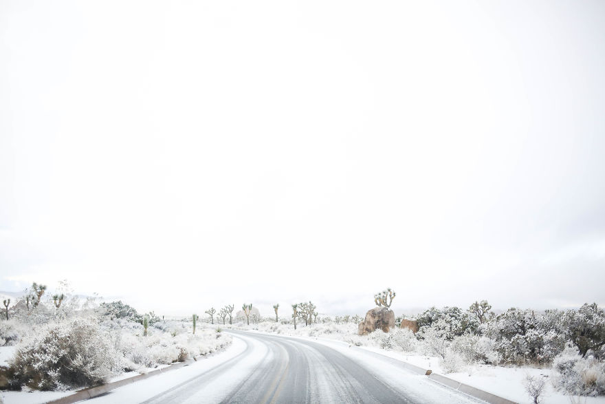 Snow In Joshua Tree National Park Snow In Joshua Tree National Park