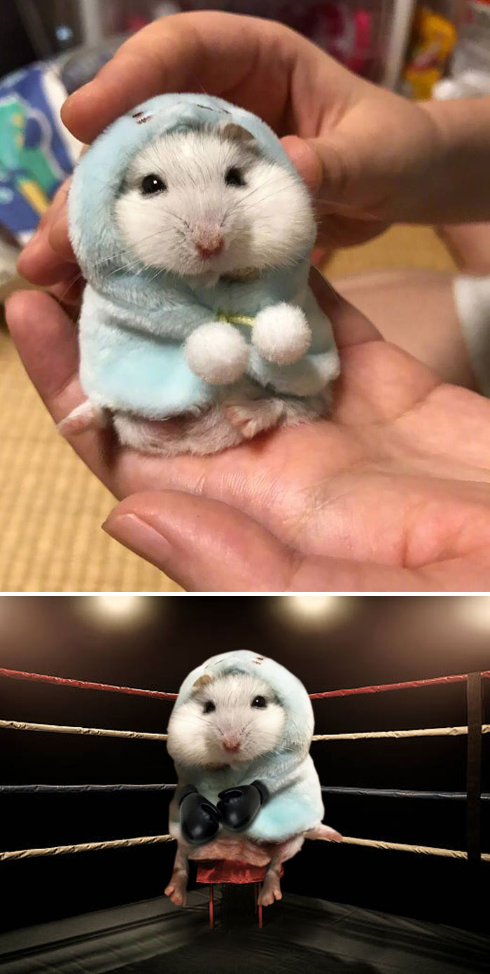 The Winners Of The Greatest Photoshop Battles Ever The Winners Of The Greatest Photoshop Battles Ever