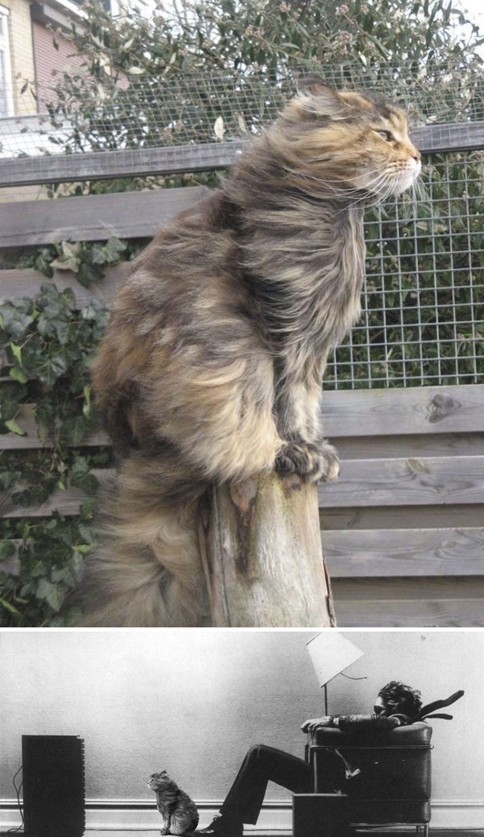 The Winners Of The Greatest Photoshop Battles Ever The Winners Of The Greatest Photoshop Battles Ever