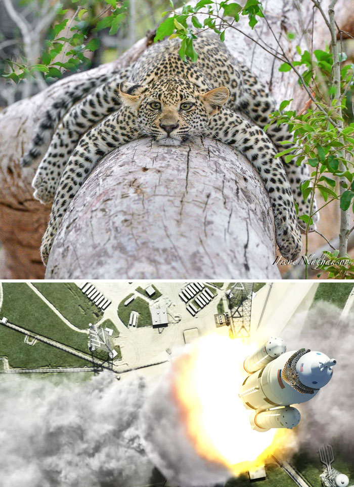 The Winners Of The Greatest Photoshop Battles Ever The Winners Of The Greatest Photoshop Battles Ever