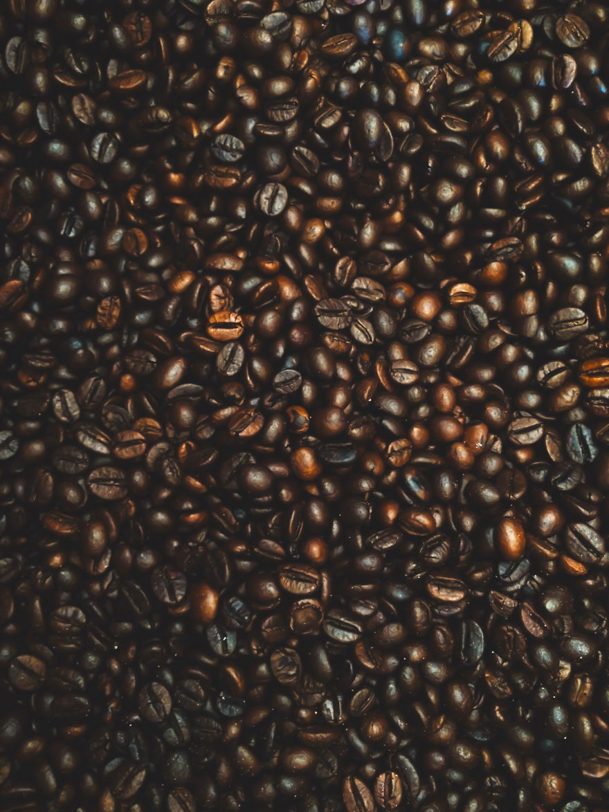 I Have Been Taking Pictures With My iPhone 5s, And Here Are Some Of The Results I Have Been Taking Pictures With My iPhone 5s, And Here Are Some Of The Results