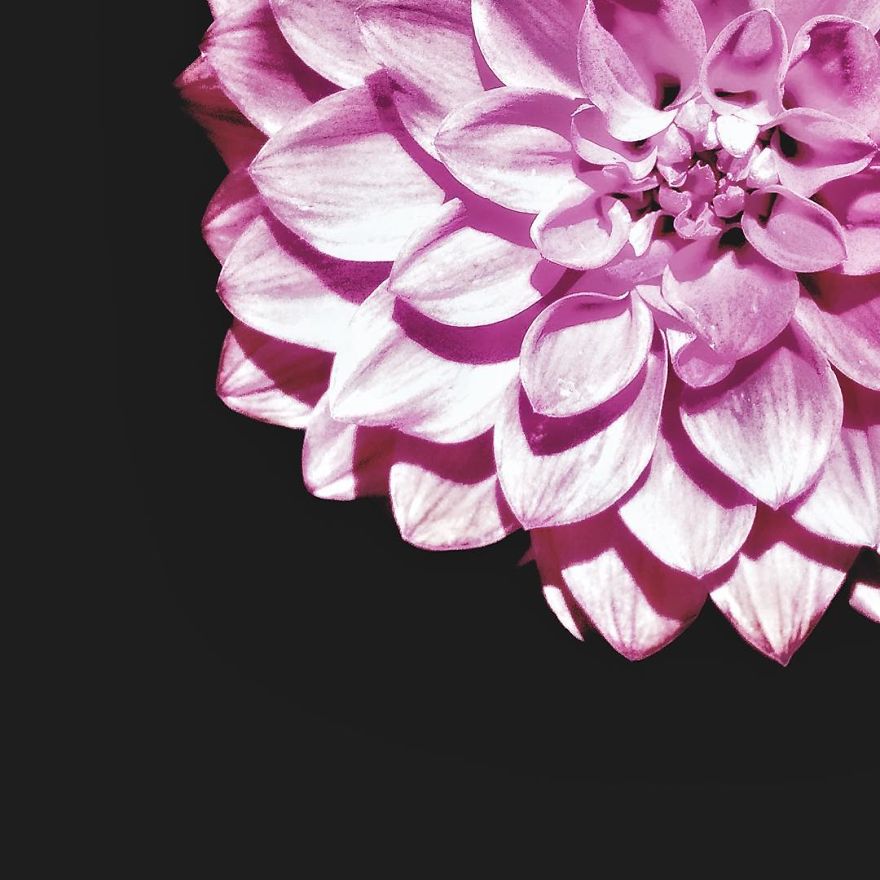 I Have Been Taking Pictures With My iPhone 5s, And Here Are Some Of The Results I Have Been Taking Pictures With My iPhone 5s, And Here Are Some Of The Results