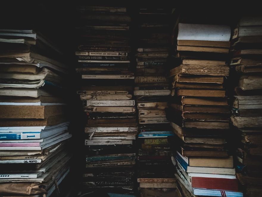 I Have Been Taking Pictures With My iPhone 5s, And Here Are Some Of The Results I Have Been Taking Pictures With My iPhone 5s, And Here Are Some Of The Results