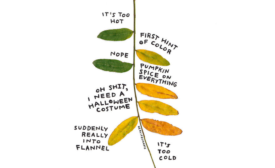 I Make Charts Out Of Everyday Objects I Make Charts Out Of Everyday Objects