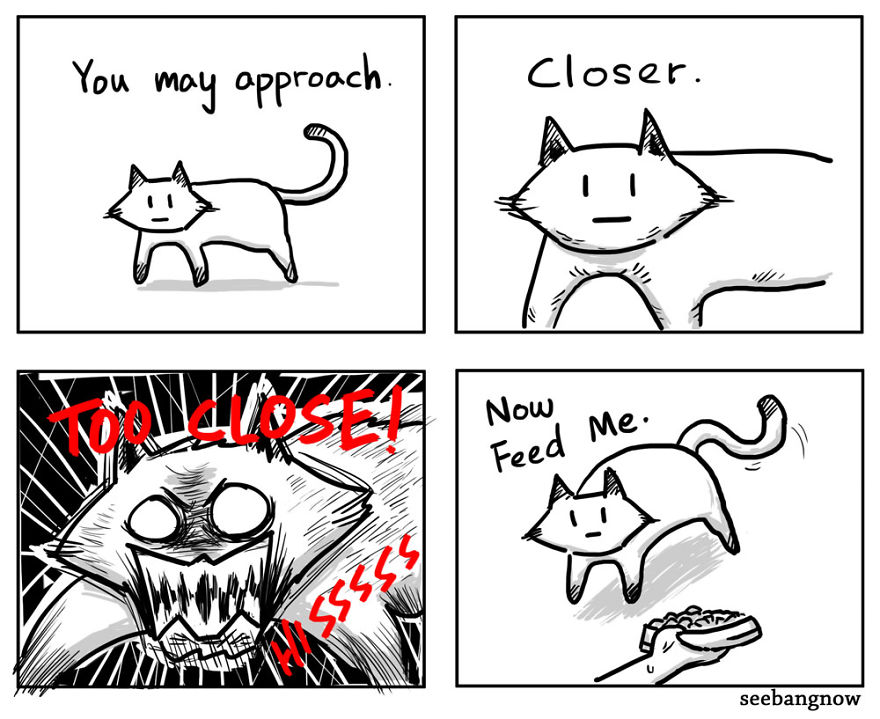 17 Hilarious Comics That Reveal The Reality Of Having A Cat 17 Hilarious Comics That Reveal The Reality Of Having A Cat