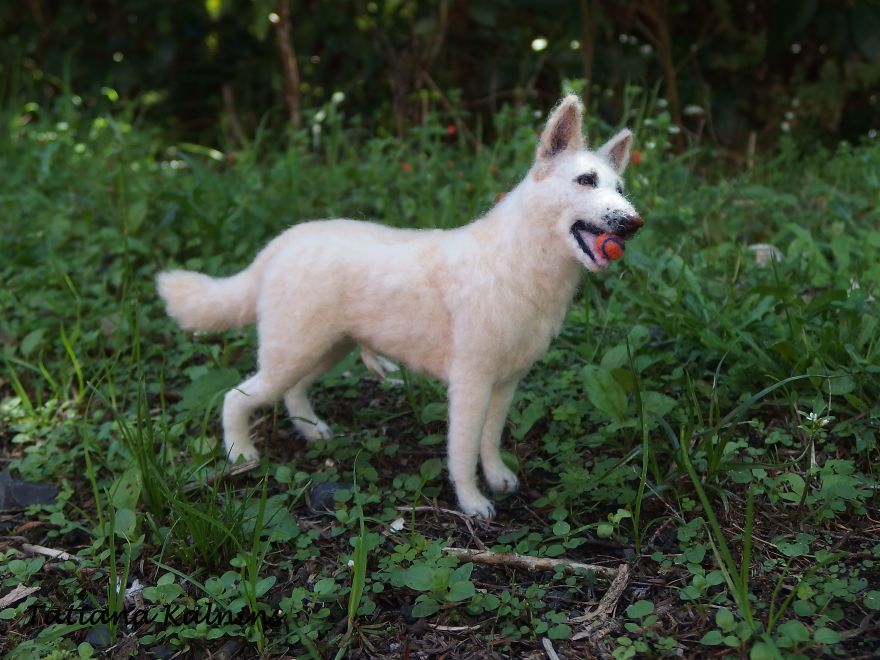 These Felted Animal Photos Will Make You Look Twice! These Felted Animal Photos Will Make You Look Twice!