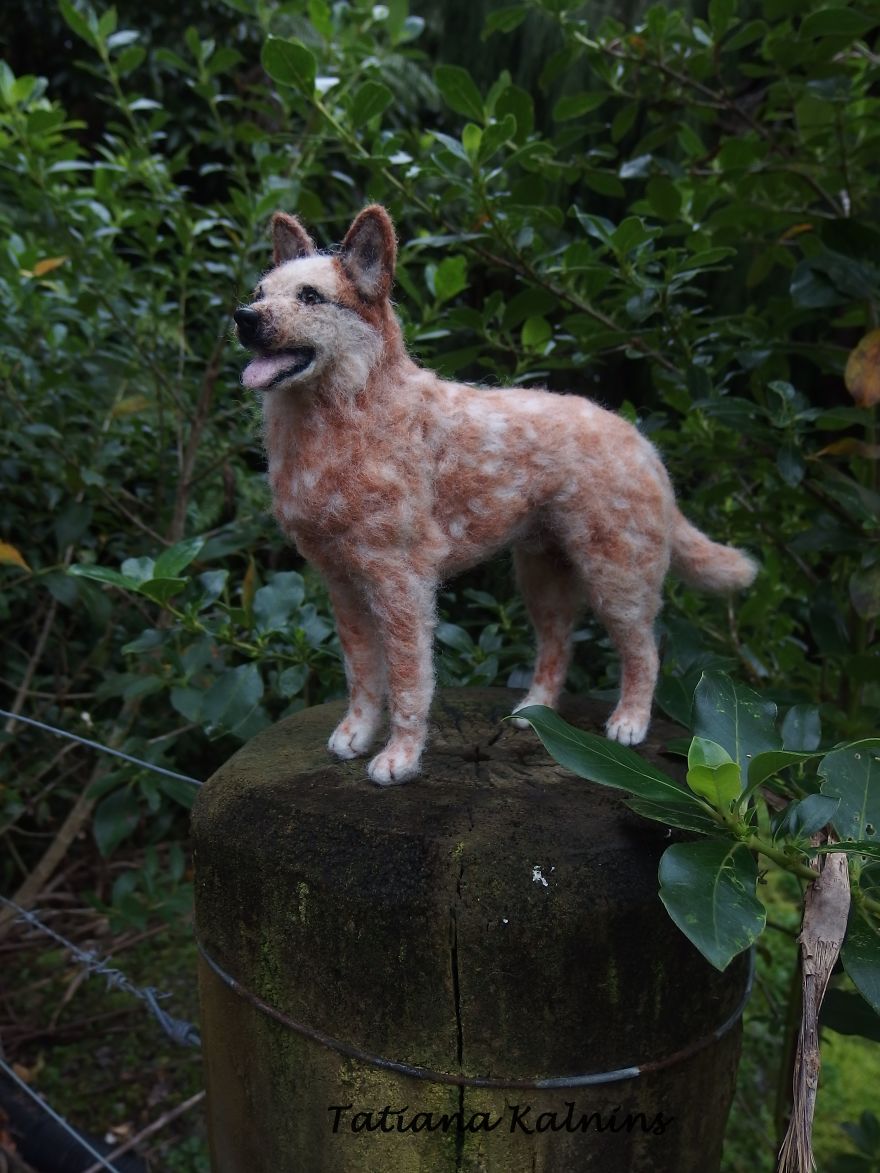 These Felted Animal Photos Will Make You Look Twice! These Felted Animal Photos Will Make You Look Twice!