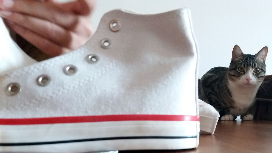 After Spending The Whole Weekend Painting I Came Up With These Shoes After Spending The Whole Weekend Painting I Came Up With These Shoes