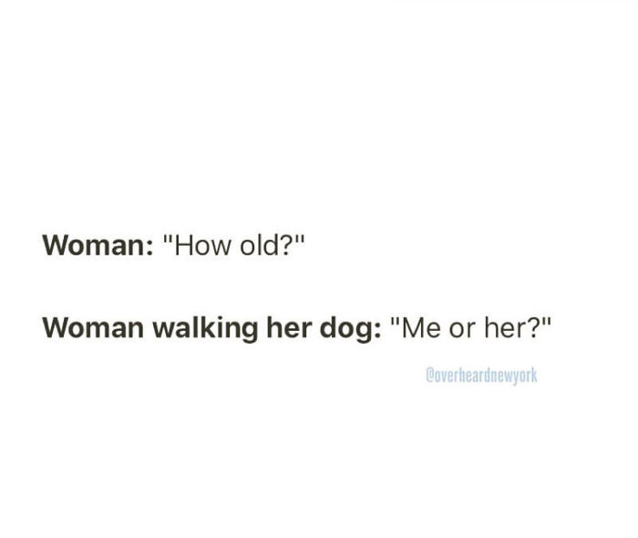 128 Hilarious Conversations That People Overheard In New York And Decided They’re Too Good Not To Share 128 Hilarious Conversations That People Overheard In New York And Decided They’re Too Good Not To Share