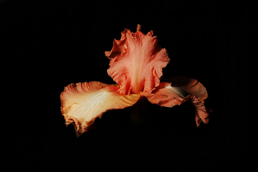 Photographer Creates A Fine Line Between Real And Artificial Photographer Creates A Fine Line Between Real And Artificial