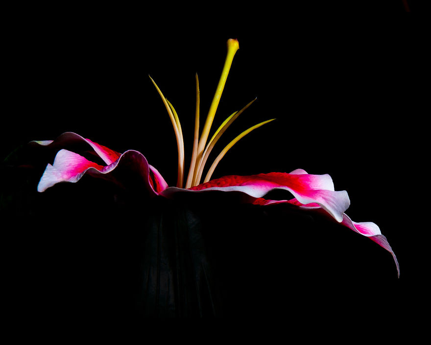 Photographer Creates A Fine Line Between Real And Artificial Photographer Creates A Fine Line Between Real And Artificial