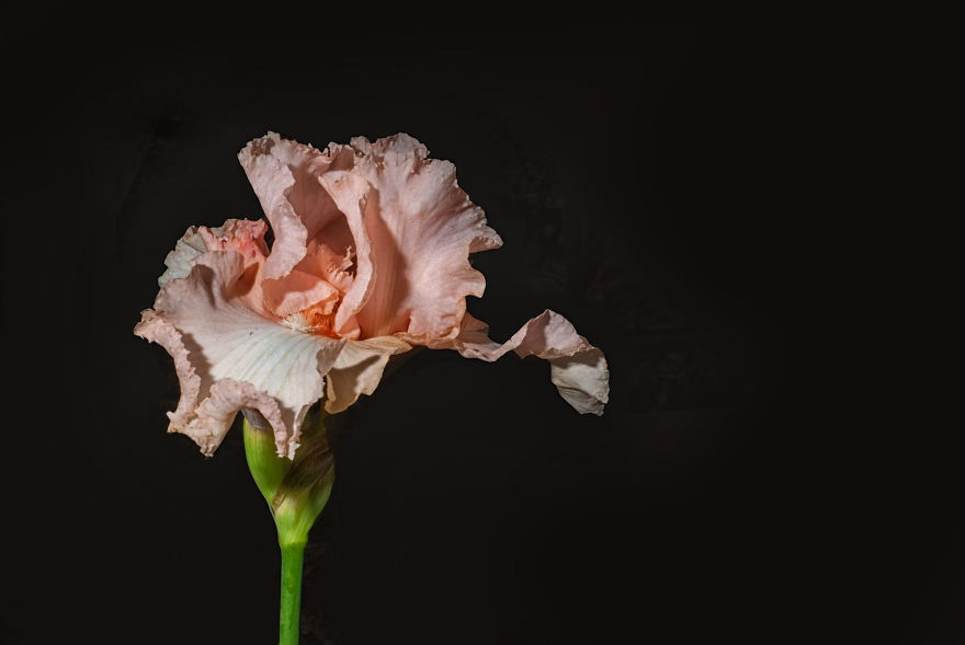 Photographer Creates A Fine Line Between Real And Artificial Photographer Creates A Fine Line Between Real And Artificial