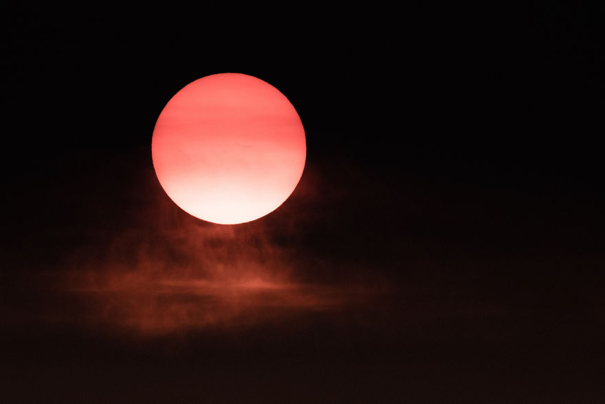 Bombinate – An Olympus Experience Bombinate – An Olympus Experience