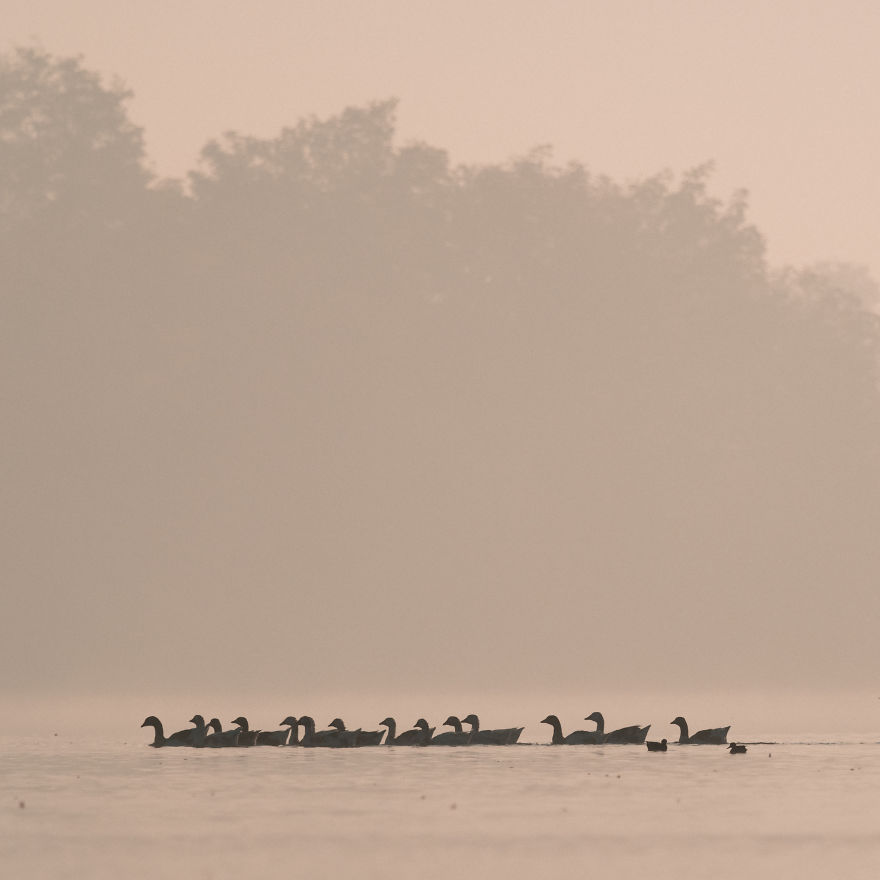 Bombinate – An Olympus Experience Bombinate – An Olympus Experience