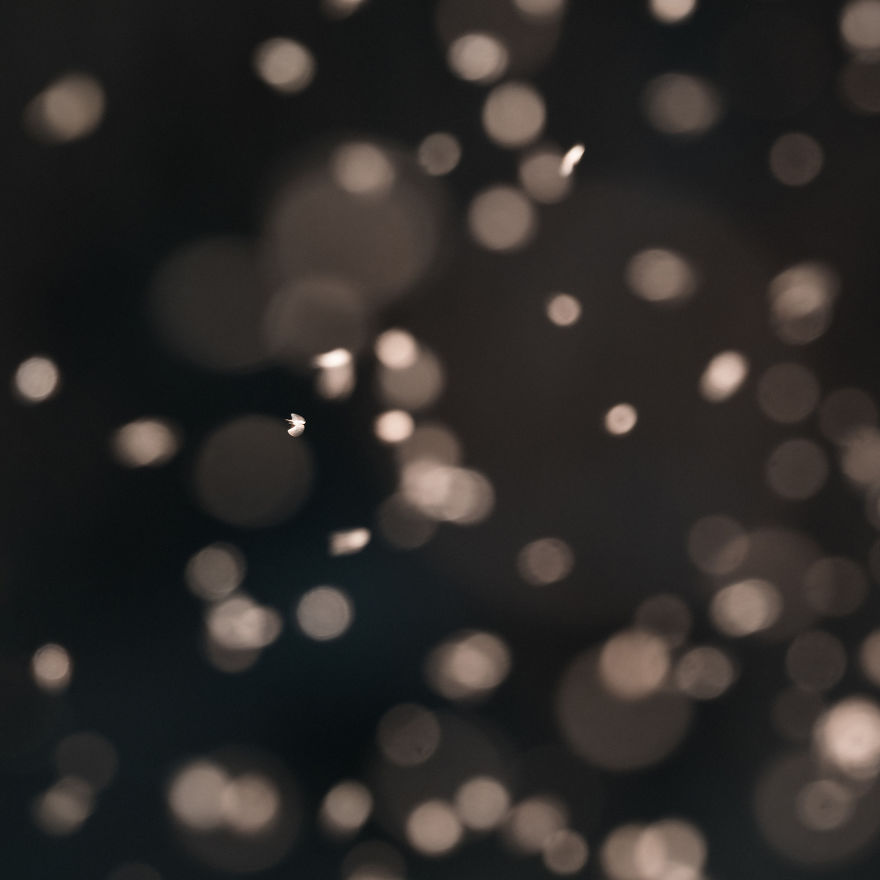 Bombinate – An Olympus Experience Bombinate – An Olympus Experience