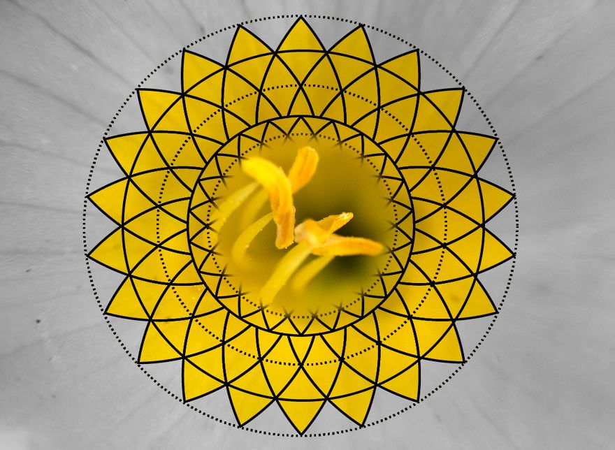 Geometry Vs. Nature: I Played With Forms And Shapes In My Pictures Geometry Vs. Nature: I Played With Forms And Shapes In My Pictures