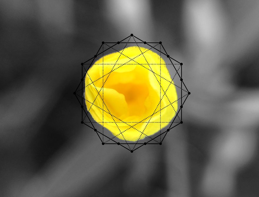 Geometry Vs. Nature: I Played With Forms And Shapes In My Pictures Geometry Vs. Nature: I Played With Forms And Shapes In My Pictures