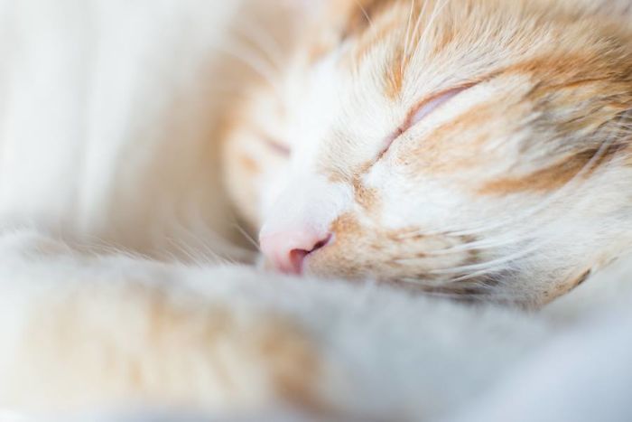 Couple&#8217;s Birthing Photoshoot Goes Viral, And People Don&#8217;t Know What To Think