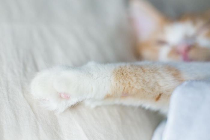 Couple&#8217;s Birthing Photoshoot Goes Viral, And People Don&#8217;t Know What To Think