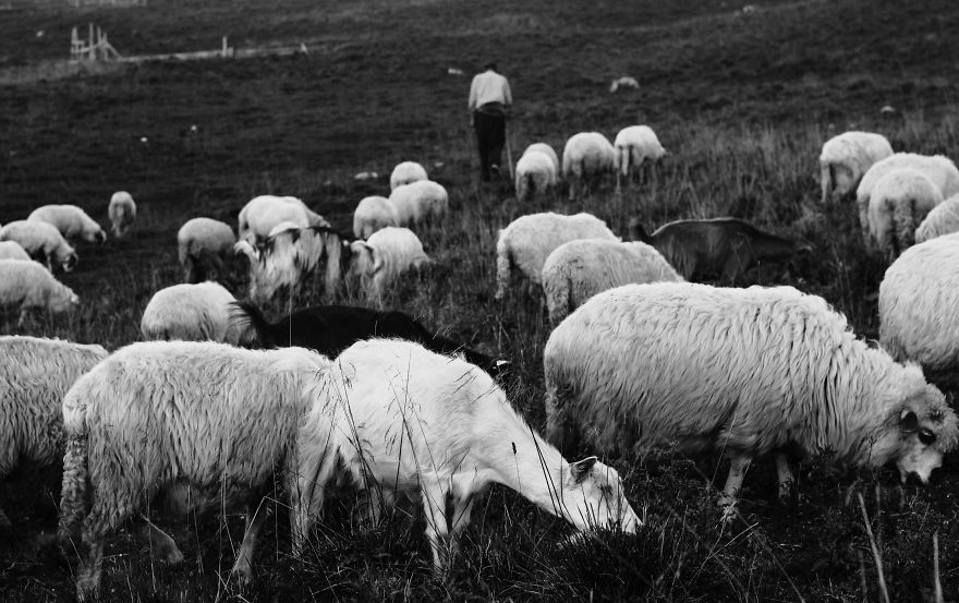 3 Lost Professions That The World Needs To Know More About