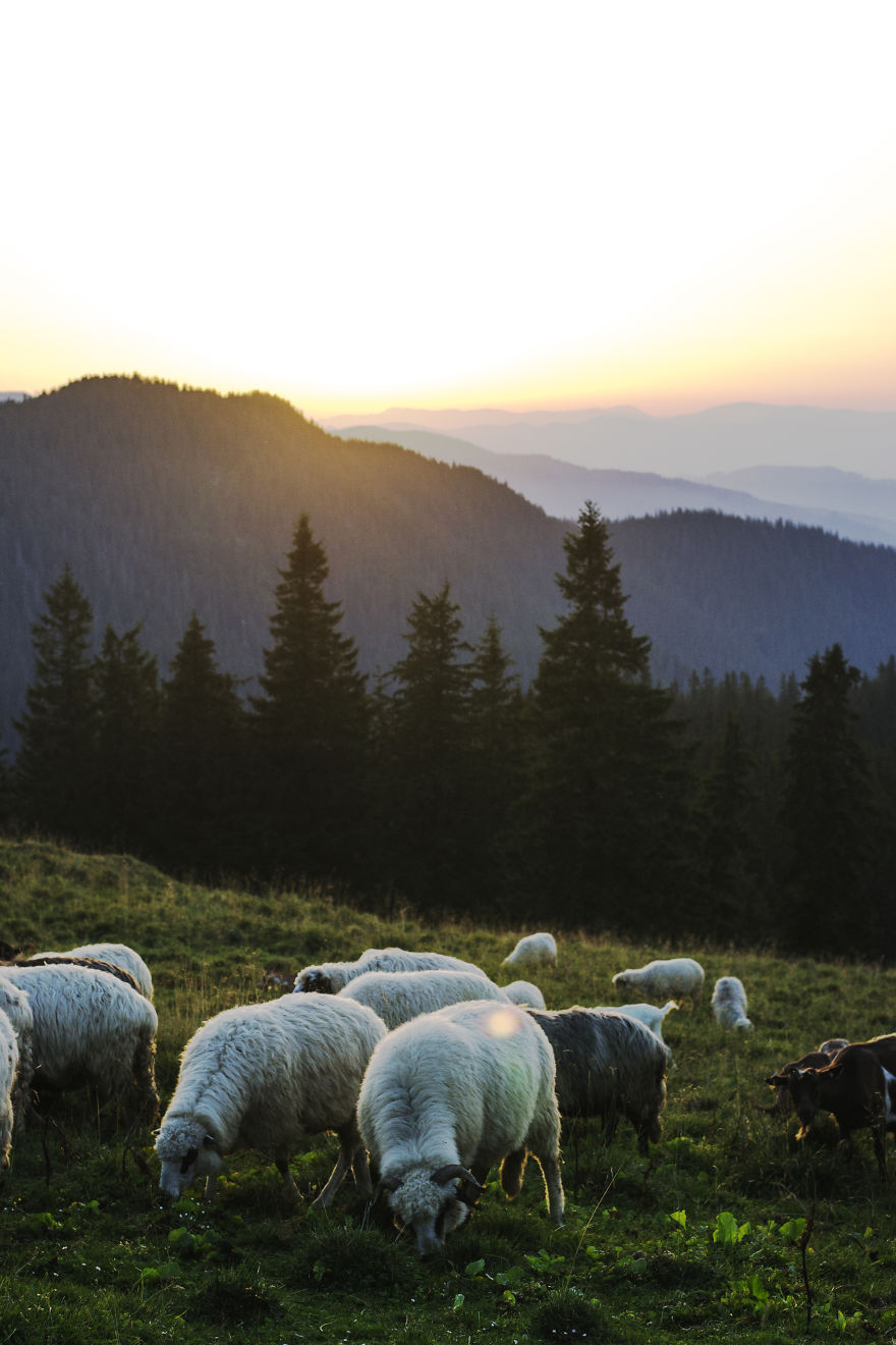 3 Lost Professions That The World Needs To Know More About