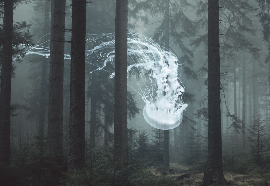 My Dreams Inside My Images