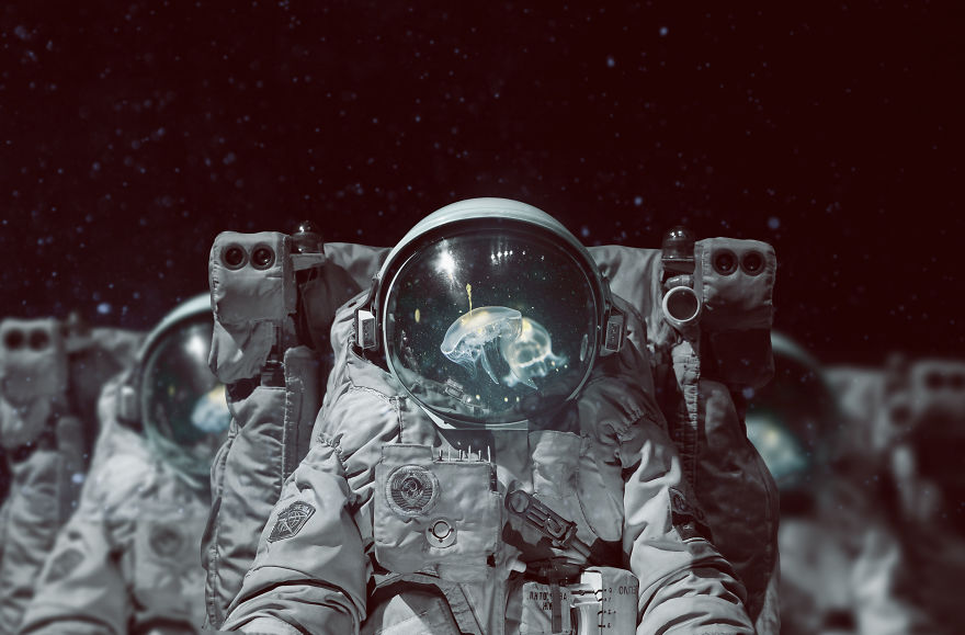 My Dreams Inside My Images My Dreams Inside My Images