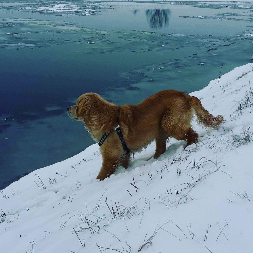 Let´s Spread Happy And Positive Mood By Our Photos With Our Golden Max