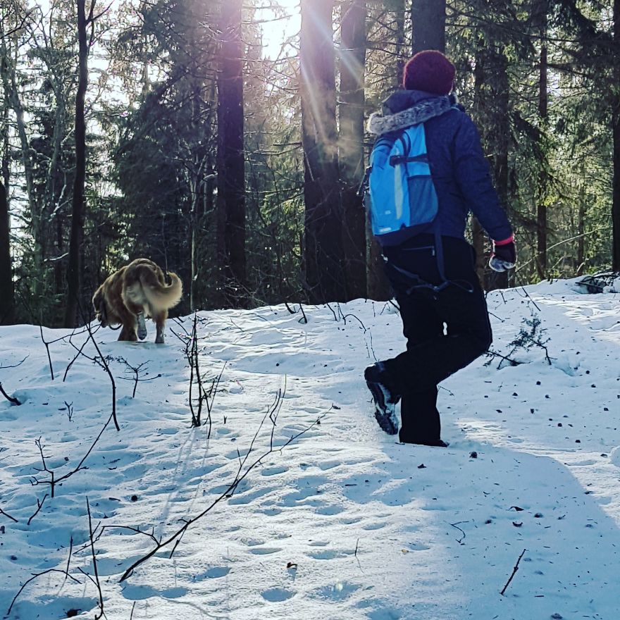 Let´s Spread Happy And Positive Mood By Our Photos With Our Golden Max