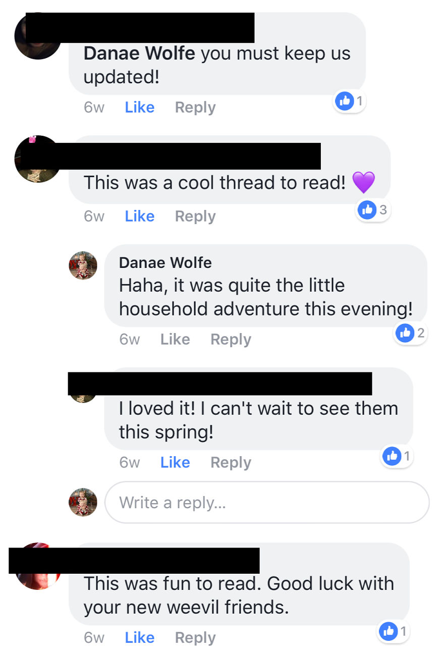 We Found Grubs In Our Son’s Room. What Happened Next Is The Hilarious Account Of How We Adopted Four New Pets We Found Grubs In Our Son’s Room. What Happened Next Is The Hilarious Account Of How We Adopted Four New Pets