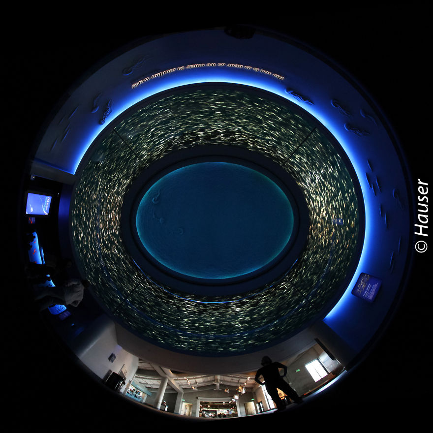 Nach Oben: I Take Photos With My Fisheye Lens All Over The World Nach Oben: I Take Photos With My Fisheye Lens All Over The World