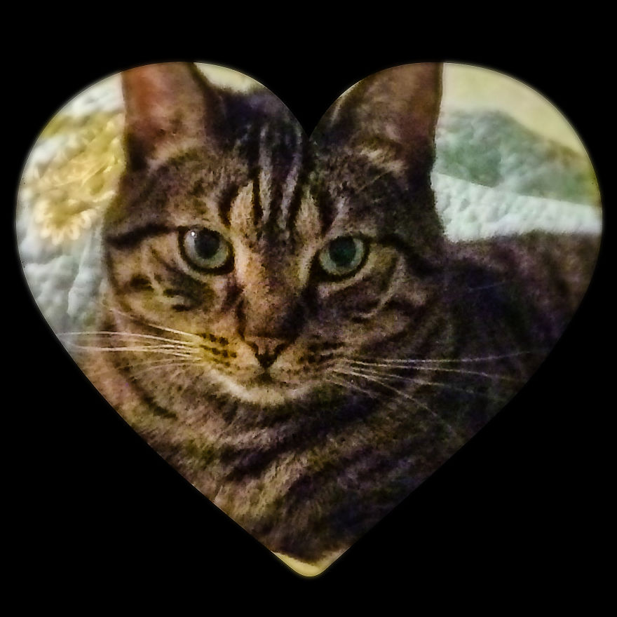 I Hunt For Haunted And Paranormal Items As A Job I Hunt For Haunted And Paranormal Items As A Job