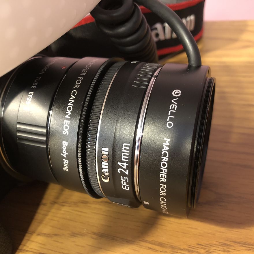 How To Photograph Macro Snowflakes At Home How To Photograph Macro Snowflakes At Home