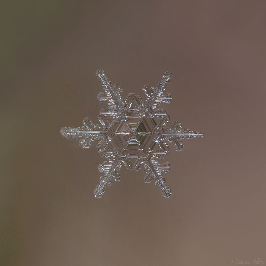 How To Photograph Macro Snowflakes At Home How To Photograph Macro Snowflakes At Home