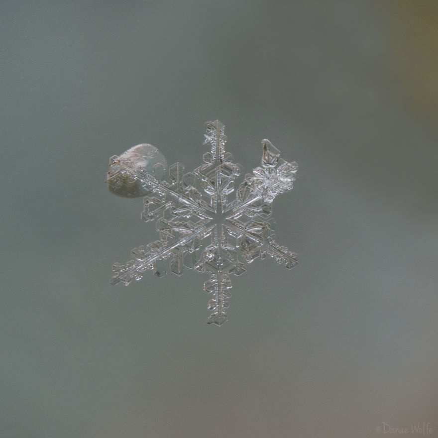 How To Photograph Macro Snowflakes At Home How To Photograph Macro Snowflakes At Home