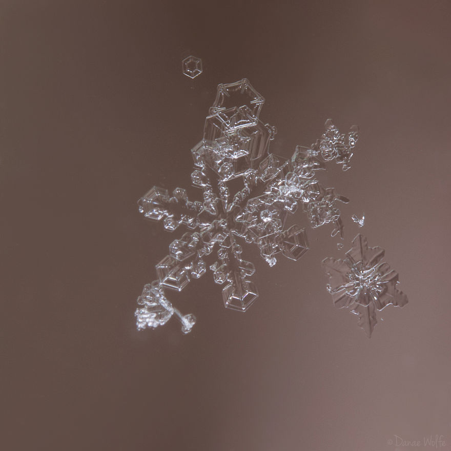 How To Photograph Macro Snowflakes At Home How To Photograph Macro Snowflakes At Home