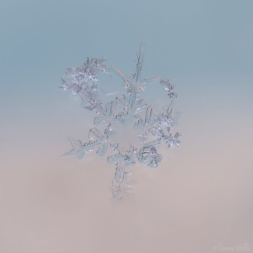 How To Photograph Macro Snowflakes At Home How To Photograph Macro Snowflakes At Home