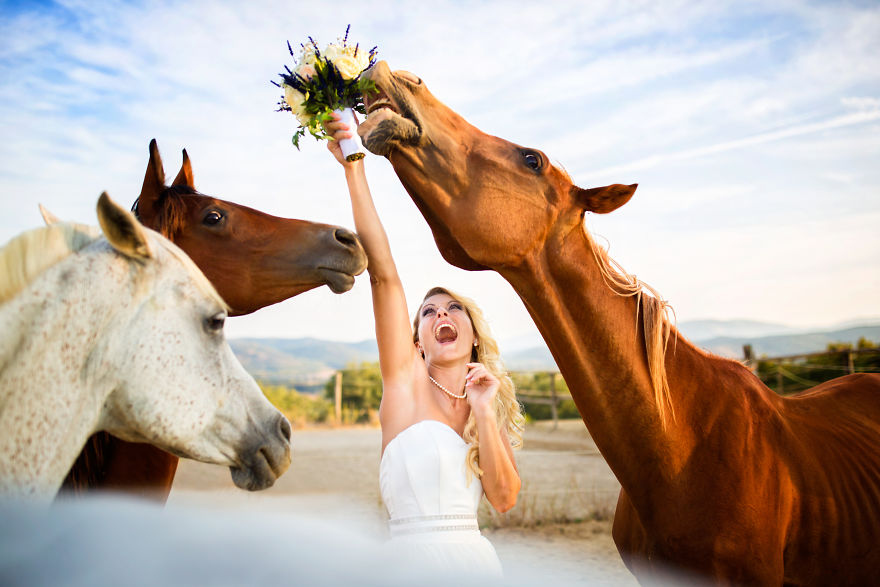 25 Animals That Were The Star Of The Wedding