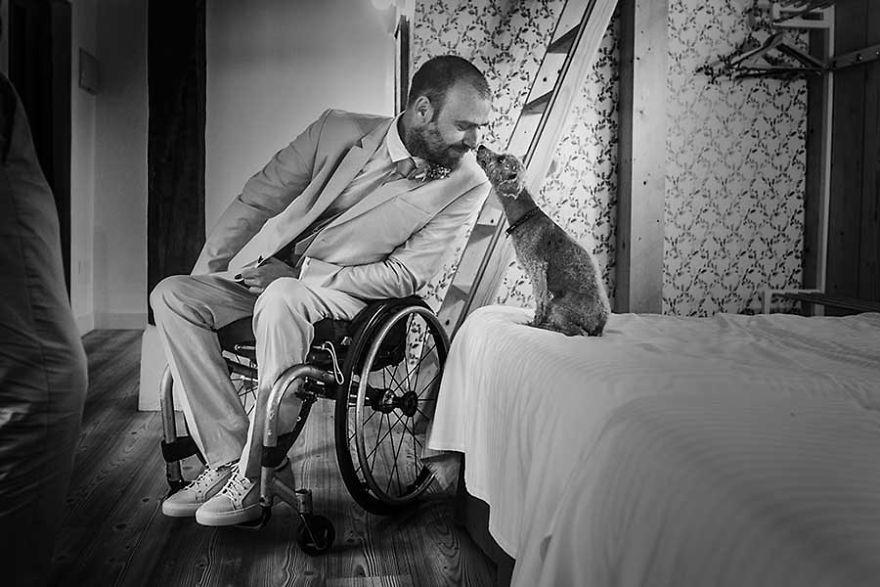 25 Animals That Were The Star Of The Wedding