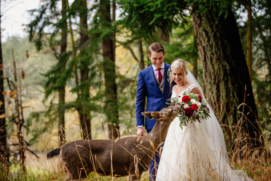 25 Animals That Were The Star Of The Wedding