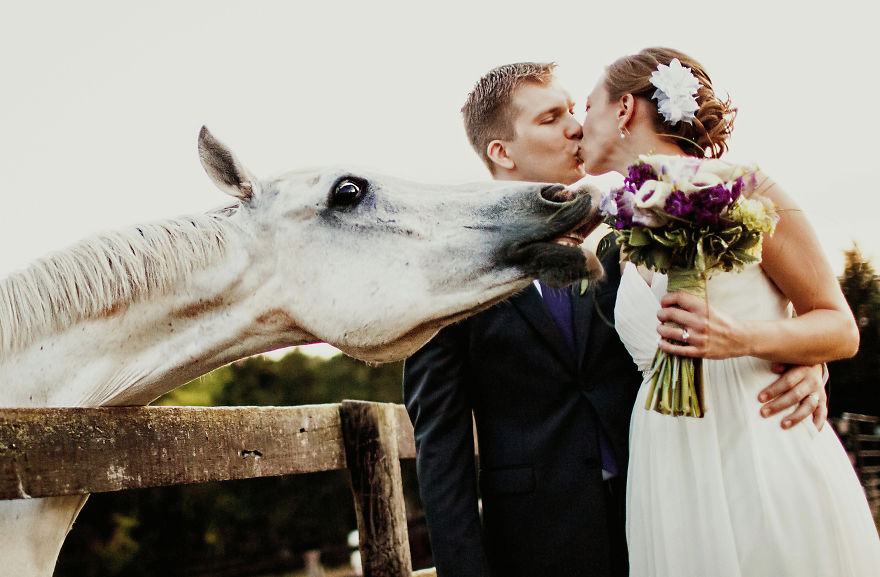 25 Animals That Were The Star Of The Wedding
