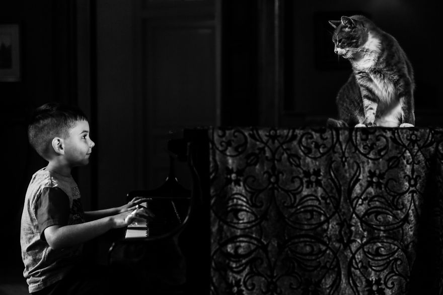 25 Animals That Were The Star Of The Wedding