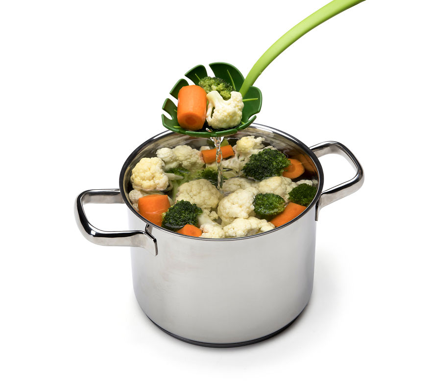 A New Kitchen Adventure Straight From The Jungle! A New Kitchen Adventure Straight From The Jungle!